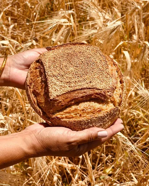 Pane di Castelbio tenuto fra le mani nel campo di grano