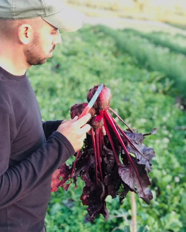 Corrado al lavoro nei campi di Castelbio