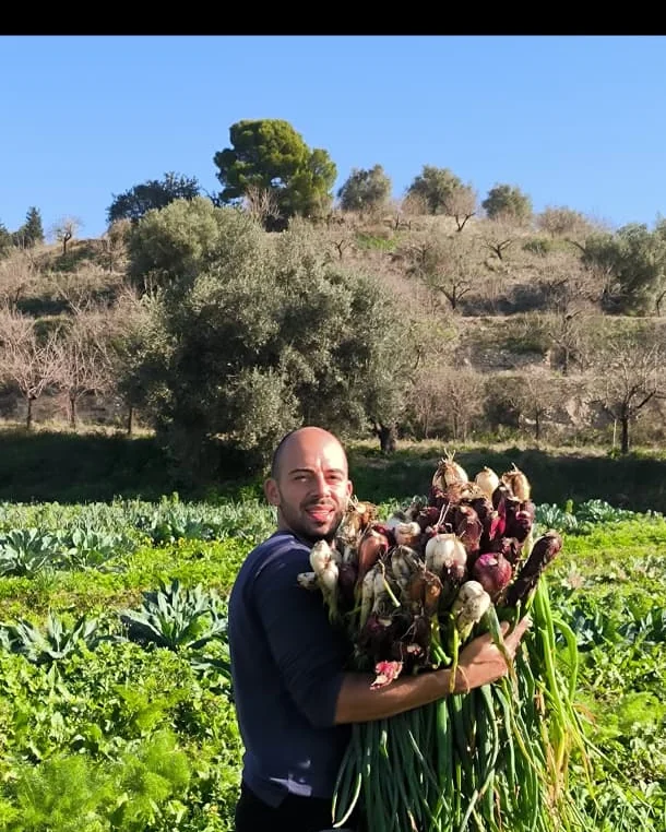 Fresh organic vegetables