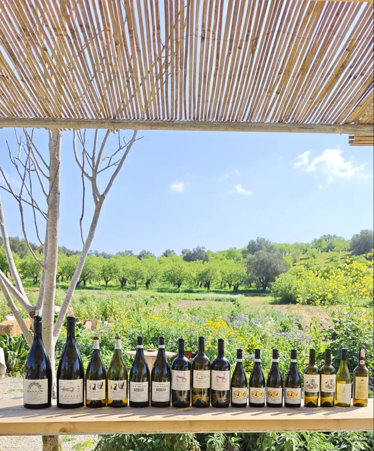 Selezione di vini al Castelbio